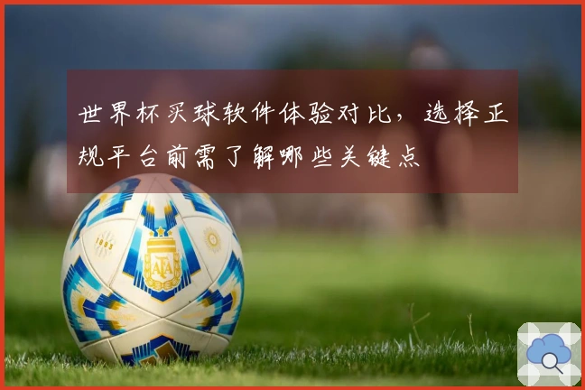 世界杯买球软件体验对比，选择正规平台前需了解哪些关键点