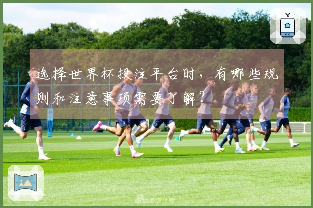 选择世界杯投注平台时，有哪些规则和注意事项需要了解？
