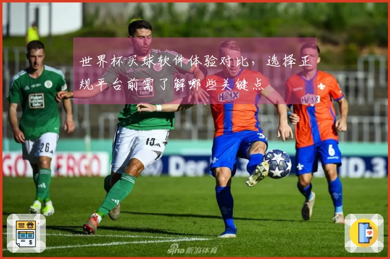 世界杯买球软件体验对比，选择正规平台前需了解哪些关键点