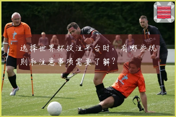 选择世界杯投注平台时，有哪些规则和注意事项需要了解？