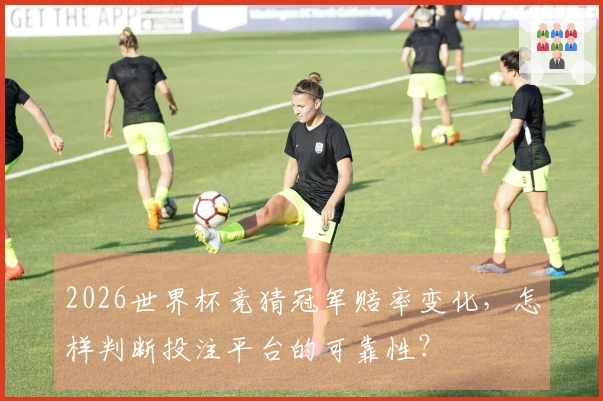 2026世界杯竞猜冠军赔率变化，怎样判断投注平台的可靠性？